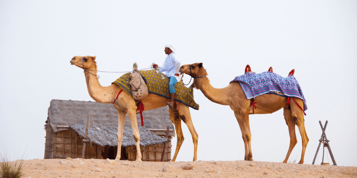 Best time to visit Dubai